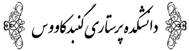 student research committee, international campus